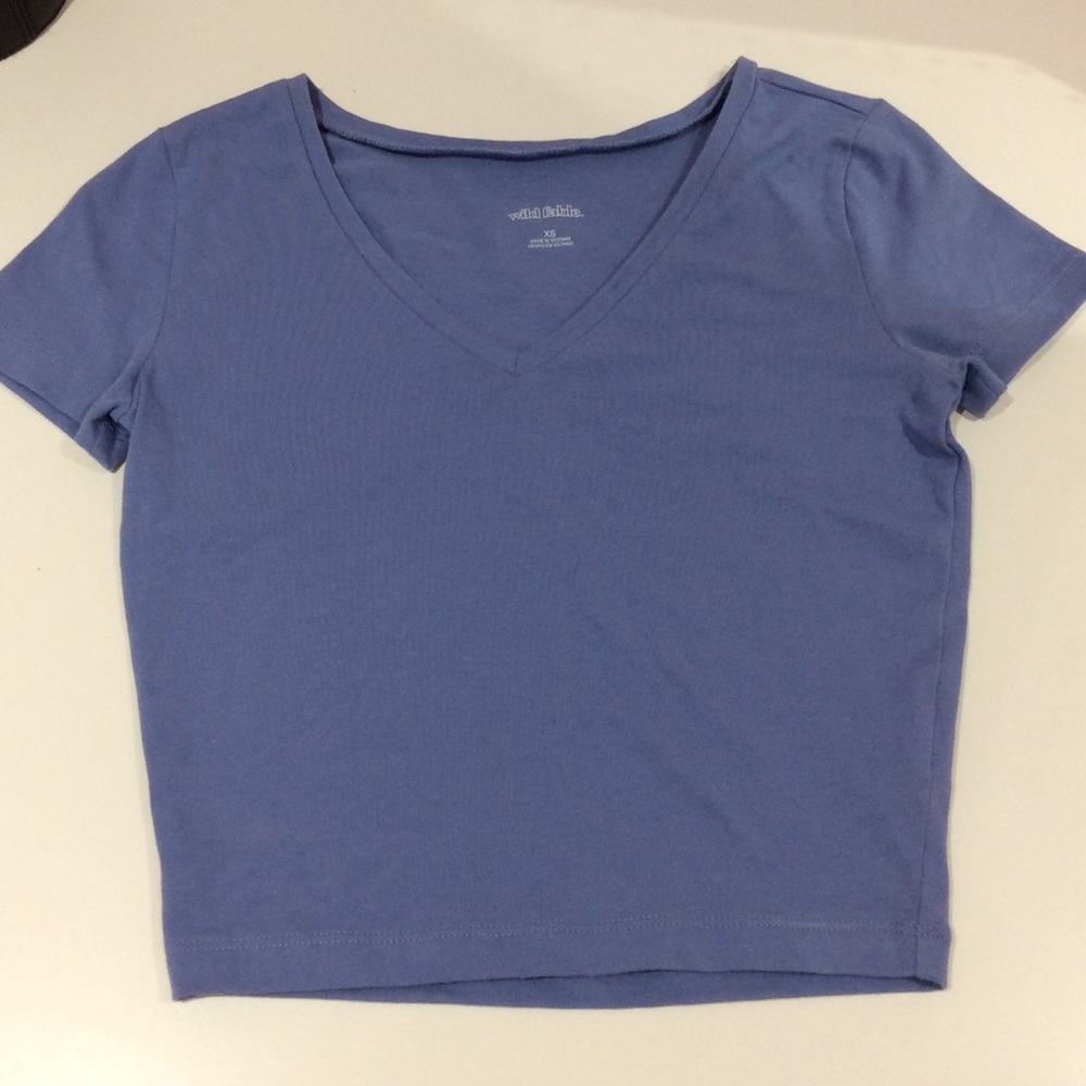 Fitted crop top